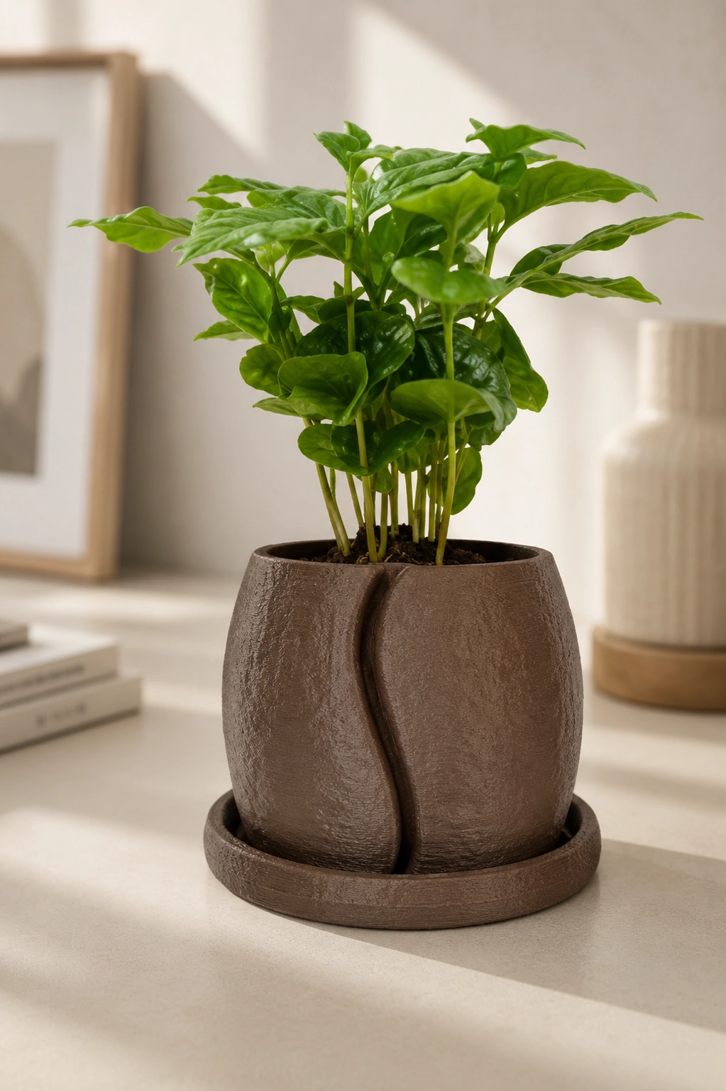 Macetero decorativo Cofesia con planta en una escena cálida de interior